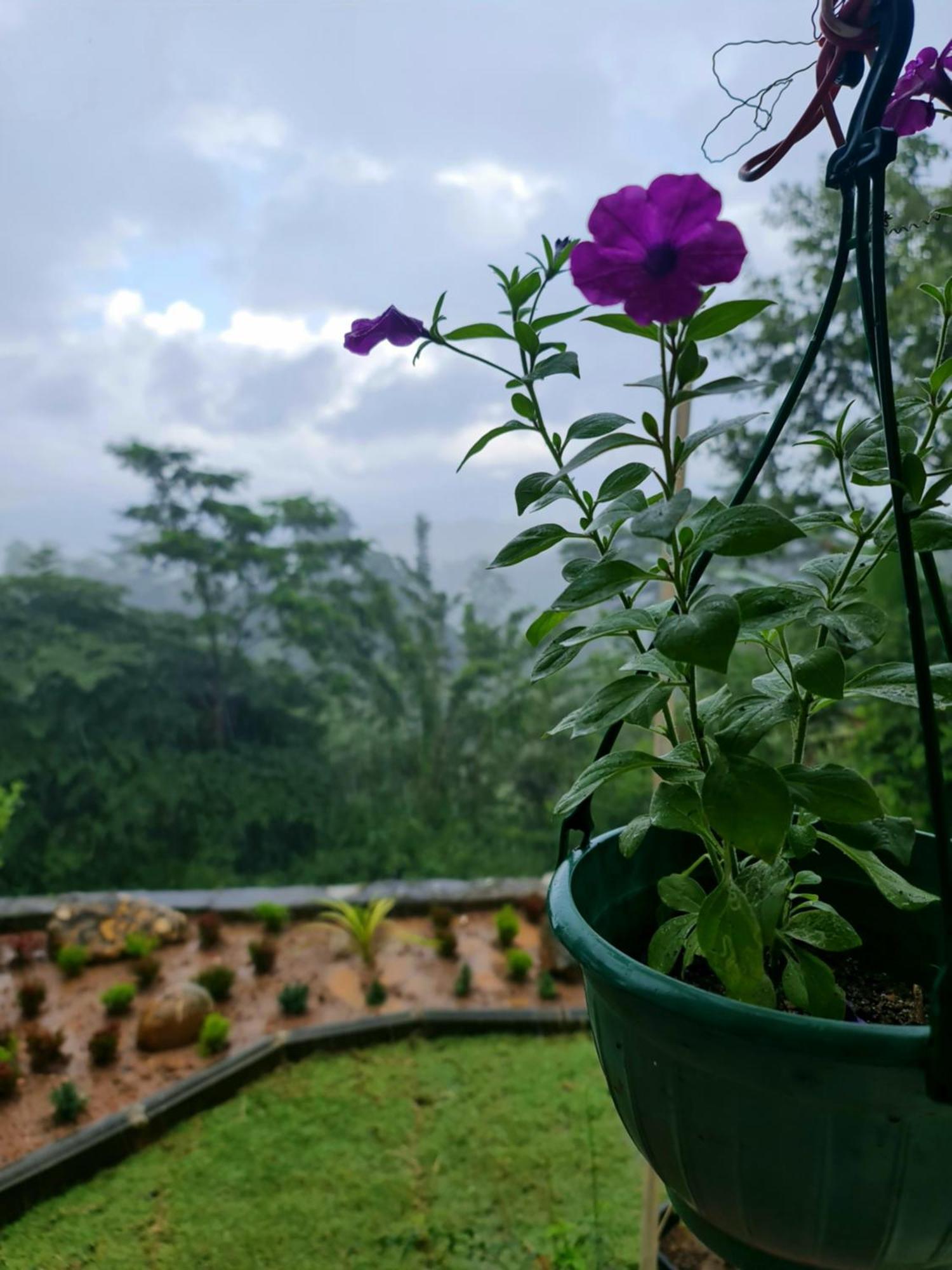 Hello Kandy Homestay Eksteriør billede