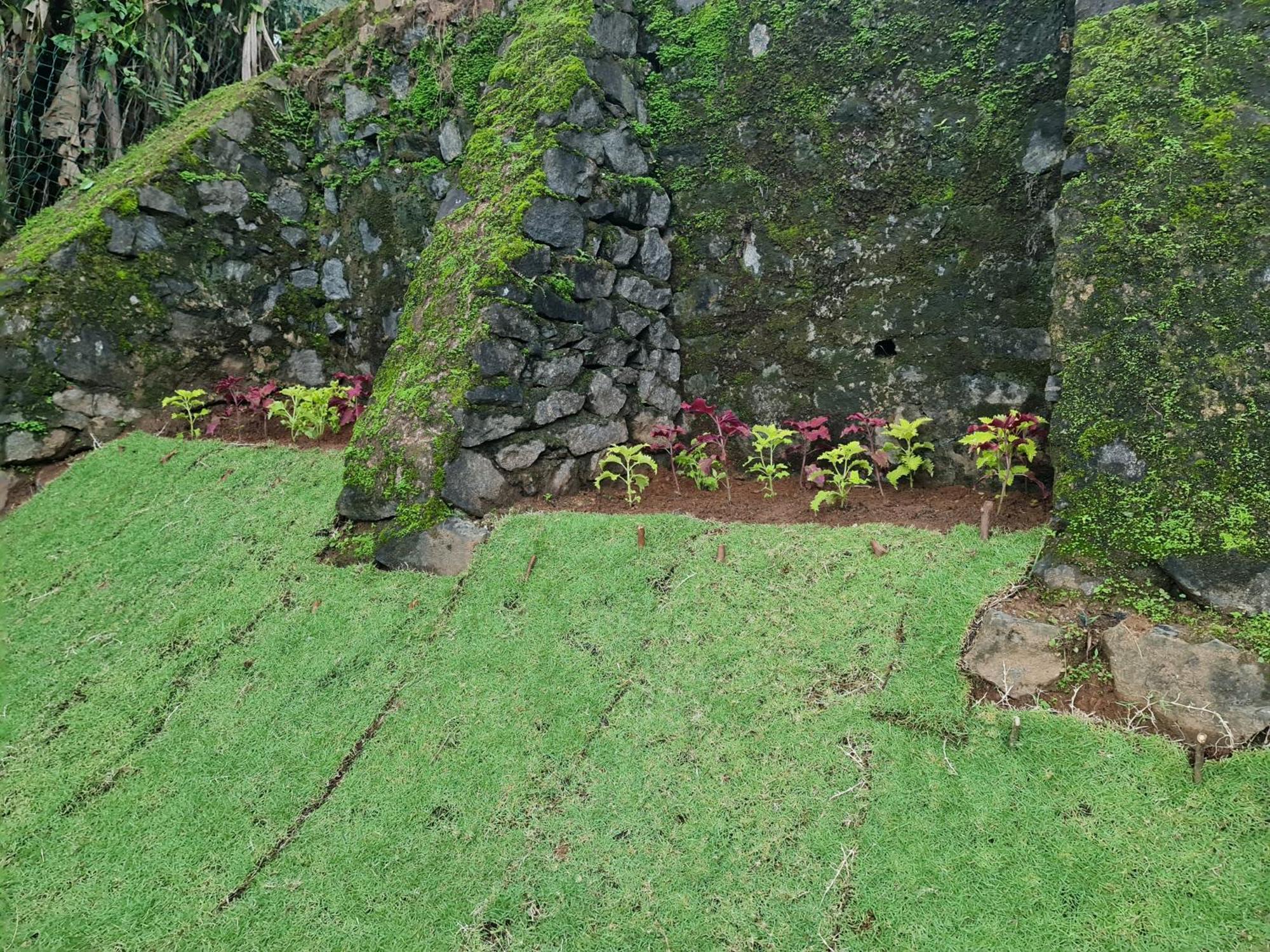 Hello Kandy Homestay Eksteriør billede