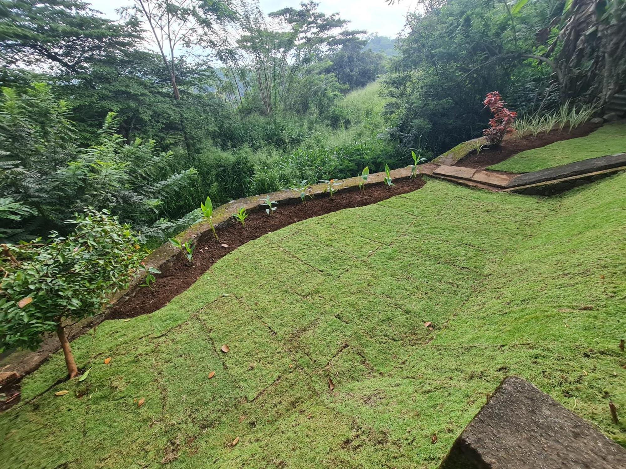 Hello Kandy Homestay Eksteriør billede